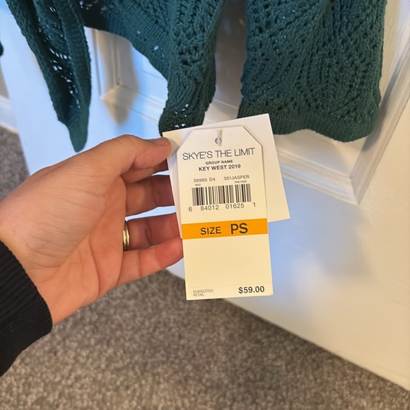 NWT Skye’s the Limit Green Crochet Sweater - Picture 5 of 5